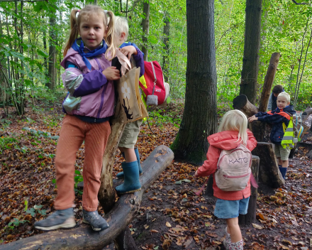 Een heerlijke dag in het bos, vol leuke belevenissen.