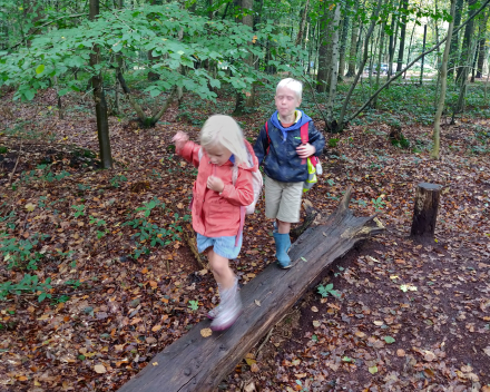 Een heerlijke dag in het bos, vol leuke belevenissen.