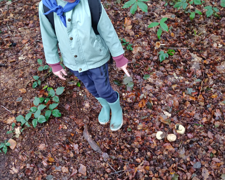 Een heerlijke dag in het bos, vol leuke belevenissen.