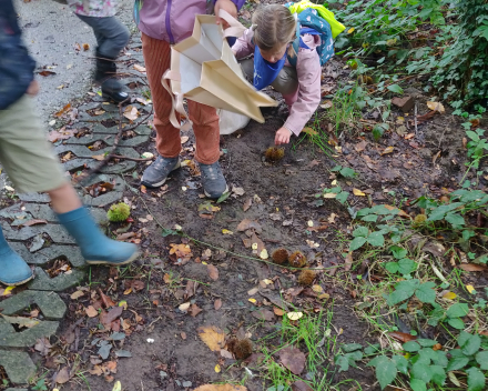 Een heerlijke dag in het bos, vol leuke belevenissen.