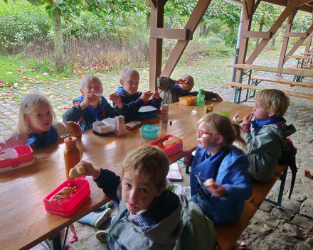 Een heerlijke dag in het bos, vol leuke belevenissen.