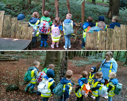 Joepie naar het bos. Bulskampveld 🌲🍄