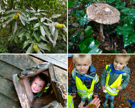 Joepie naar het bos. Bulskampveld 🌲🍄