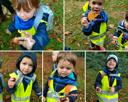 Joepie naar het bos. Bulskampveld 🌲🍄