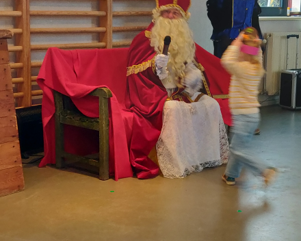 Dank u wel, Sinterklaas!