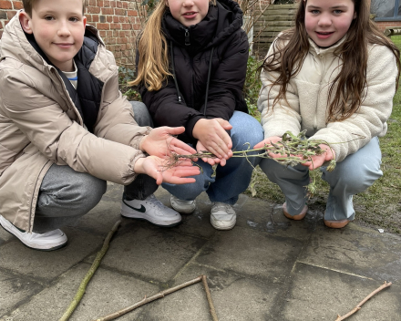 Natuuralfabet Whizzkids.