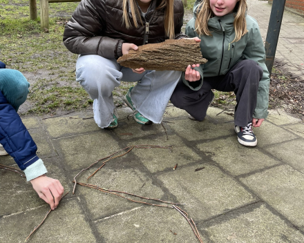 Natuuralfabet Whizzkids.