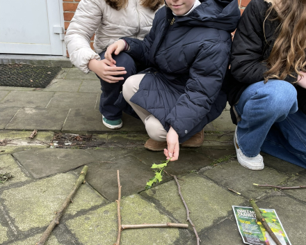Natuuralfabet Whizzkids.