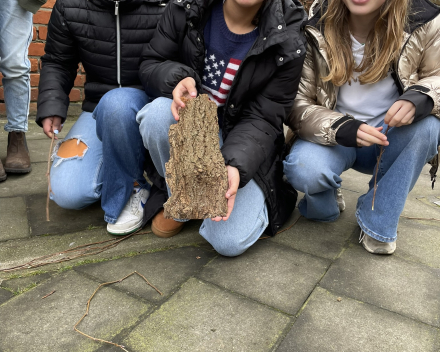 Natuuralfabet Whizzkids.