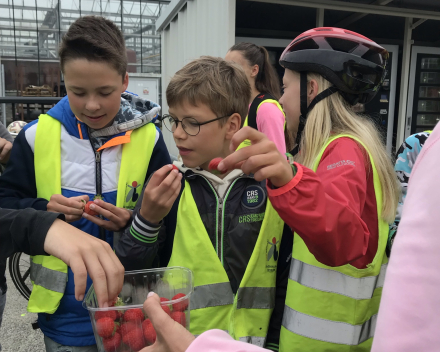 Fietstocht: 55 km in de benen!