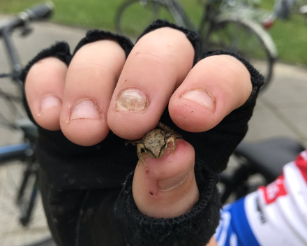 Fietstocht: 55 km in de benen!