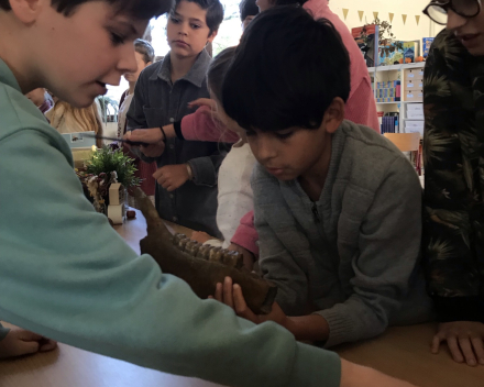 Archeologie: gastspreker in de klas!