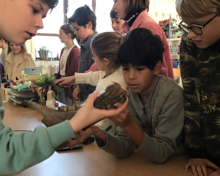 Archeologie: gastspreker in de klas!