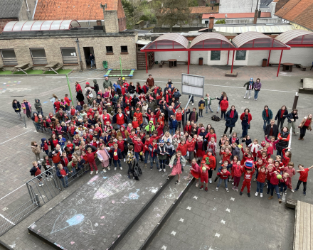 Een verhaal vol kleur: rood!