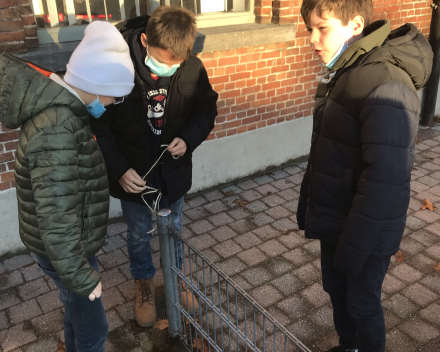 Op onderzoek: wat is de omtrek van de cirkel?