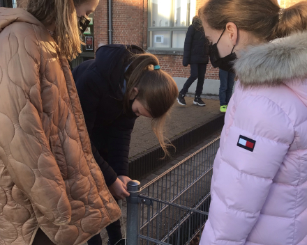 Op onderzoek: wat is de omtrek van de cirkel?