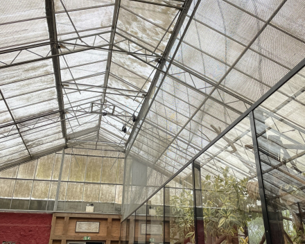 Pairi Daiza 2024
