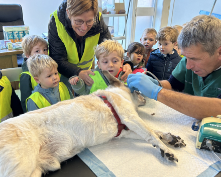 Ik ben een dierenvriendje! 