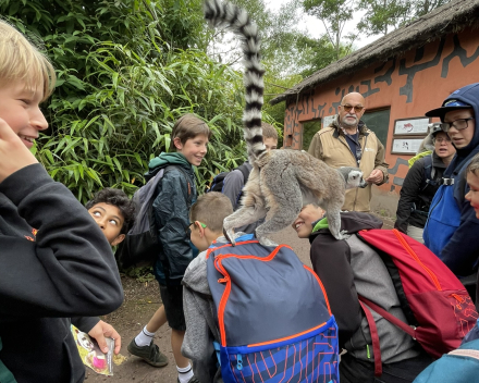 Pairi Daiza 2024