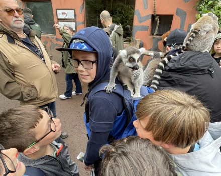 Pairi Daiza 2024