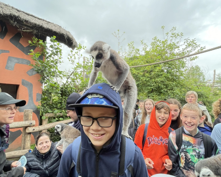 Pairi Daiza 2024