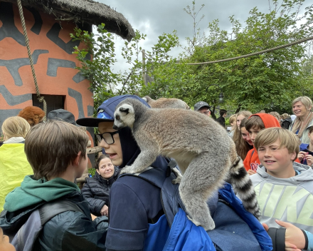 Pairi Daiza 2024