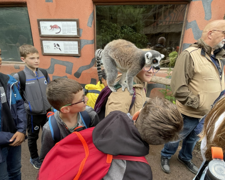 Pairi Daiza 2024