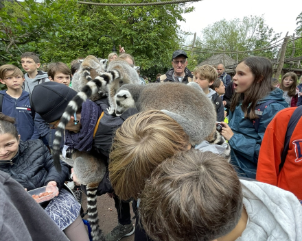 Pairi Daiza 2024