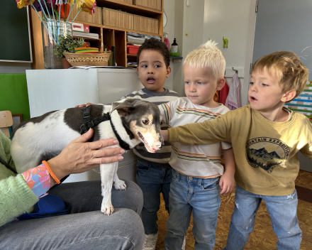 Ik ben een dierenvriendje! 