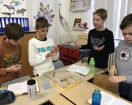 Zintuigen testen: smaak- & geurtest! 