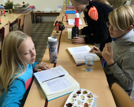 Zintuigen testen: smaak- & geurtest! 