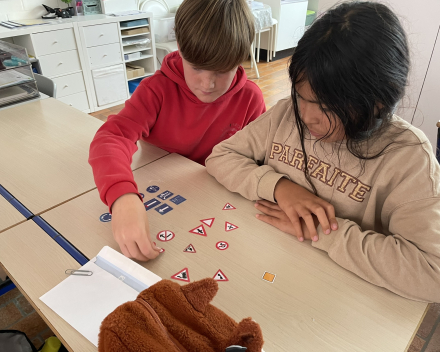 Verkeersborden classificeren