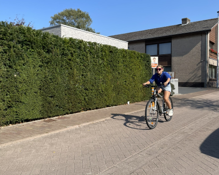 Wieltjesdag