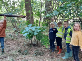 Herfst... bos... natuurwandeling... 