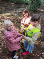 Herfst... bos... natuurwandeling... 