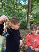 Herfst... bos... natuurwandeling... 