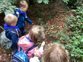 We beleven het bos met al onze zintuigen.