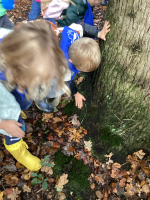 We beleven het bos met al onze zintuigen.