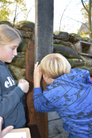 Onze leerlingen leerden over de Eerste Wereldoorlog