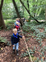 We beleven het bos met al onze zintuigen.