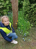 Lentewandeling: biotoopverkenning en rustmoment bij Mariakapel. 