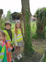 Lentewandeling: biotoopverkenning en rustmoment bij Mariakapel. 