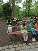 Lentewandeling: biotoopverkenning en rustmoment bij Mariakapel. 