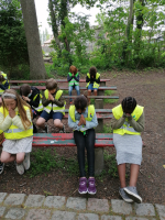 Lentewandeling: biotoopverkenning en rustmoment bij Mariakapel. 