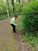 Lentewandeling: biotoopverkenning en rustmoment bij Mariakapel. 