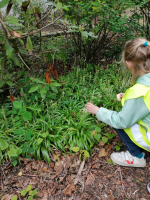 Lentewandeling: biotoopverkenning en rustmoment bij Mariakapel. 