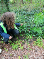 Lentewandeling: biotoopverkenning en rustmoment bij Mariakapel. 