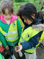 Lentewandeling: biotoopverkenning en rustmoment bij Mariakapel. 