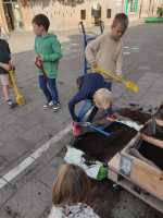 Bloembollen planten 