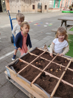 Bloembollen planten 